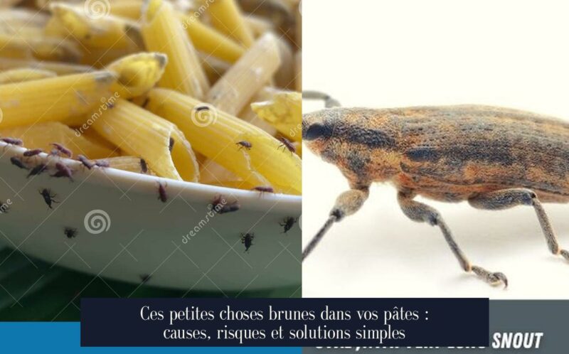 Ces petites choses brunes dans vos pâtes : causes, risques et solutions simples