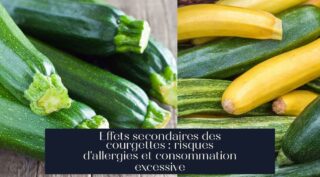 Effets secondaires des courgettes : risques d'allergies et consommation excessive