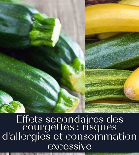 Effets secondaires des courgettes : risques d'allergies et consommation excessive