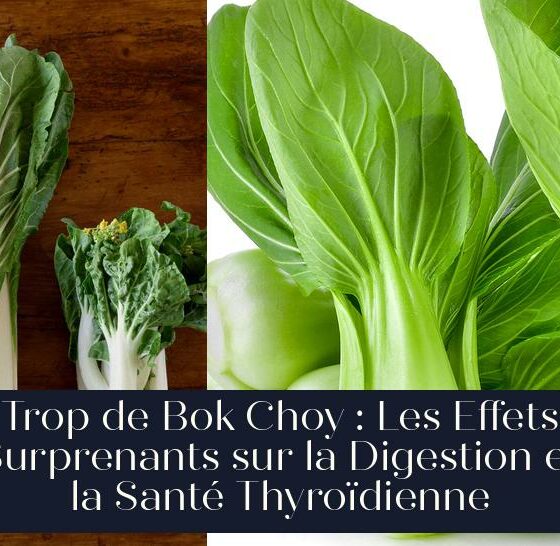 Trop de Bok Choy : Les Effets Surprenants sur la Digestion et la Santé Thyroïdienne