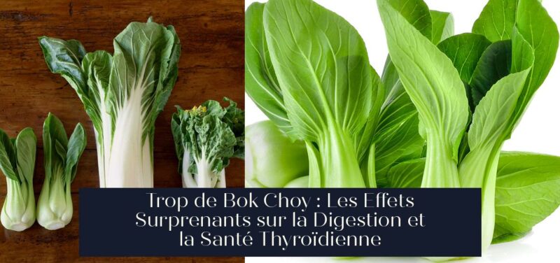 Trop de Bok Choy : Les Effets Surprenants sur la Digestion et la Santé Thyroïdienne