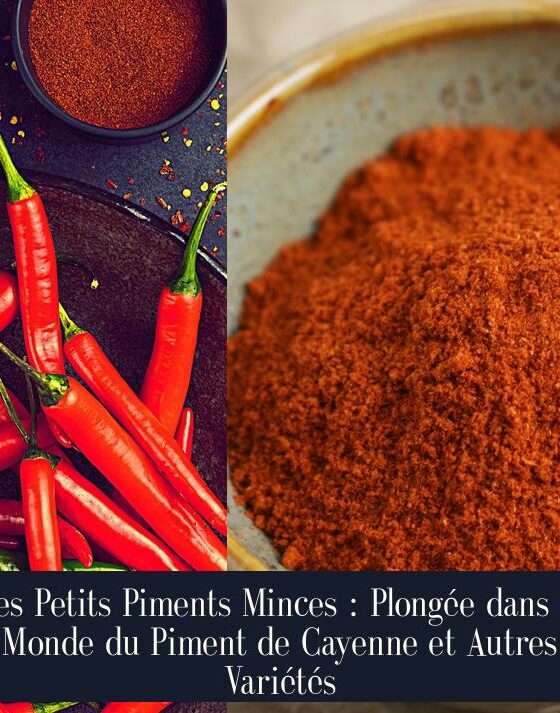 Les Petits Piments Minces : Plongée dans le Monde du Piment de Cayenne et Autres Variétés