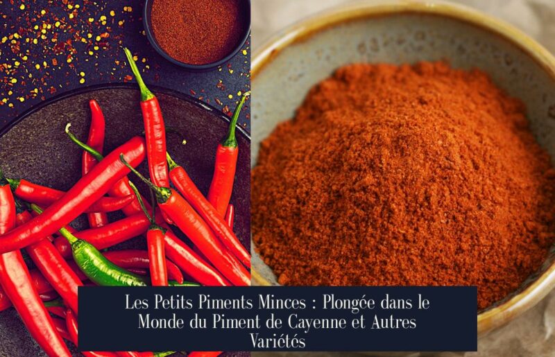 Les Petits Piments Minces : Plongée dans le Monde du Piment de Cayenne et Autres Variétés