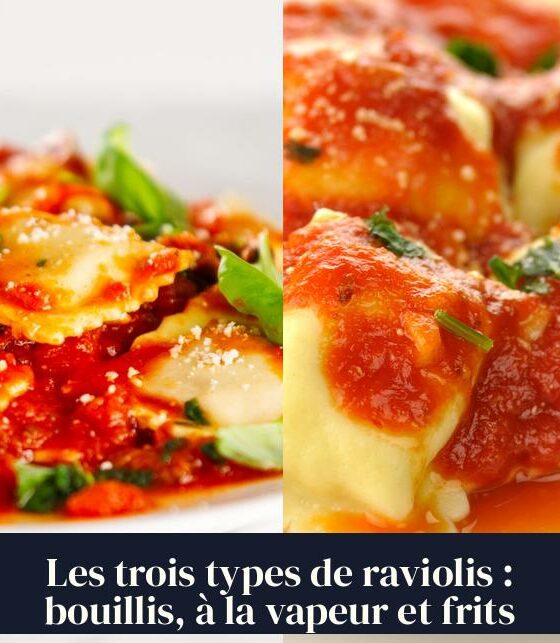 Les trois types de raviolis : bouillis, à la vapeur et frits