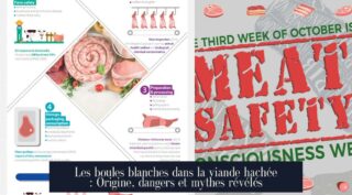 Les boules blanches dans la viande hachée : Origine, dangers et mythes révélés