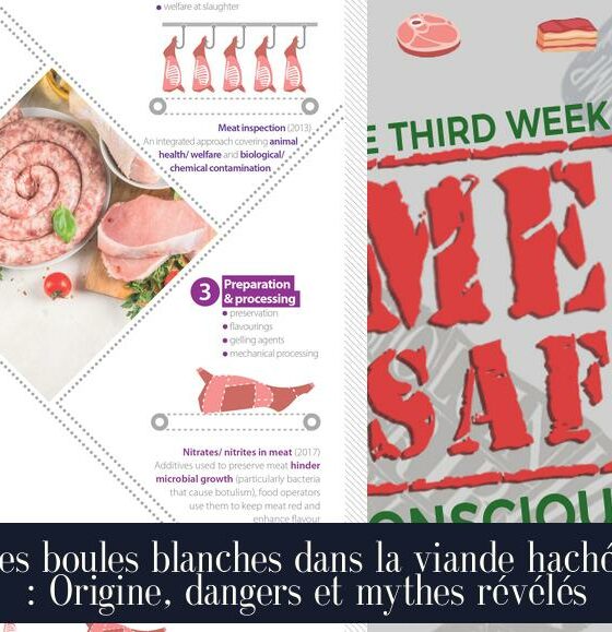 Les boules blanches dans la viande hachée : Origine, dangers et mythes révélés