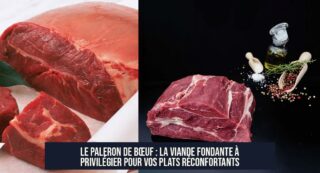 Le paleron de bœuf : la viande fondante à privilégier pour vos plats réconfortants