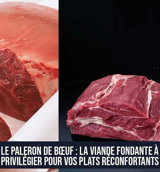Le paleron de bœuf : la viande fondante à privilégier pour vos plats réconfortants
