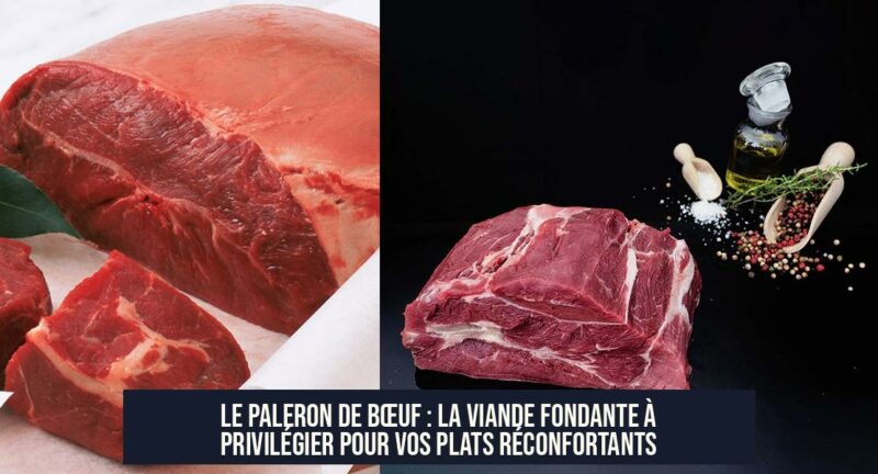 Le paleron de bœuf : la viande fondante à privilégier pour vos plats réconfortants