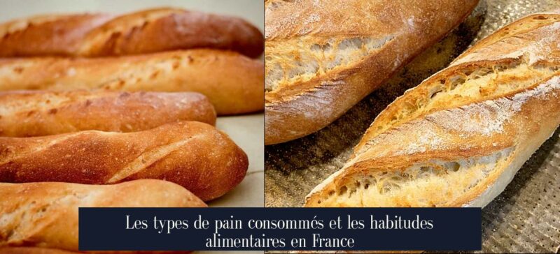 Les types de pain consommés et les habitudes alimentaires en France