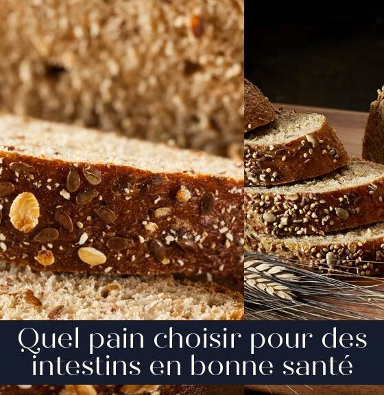 Quel pain choisir pour des intestins en bonne santé