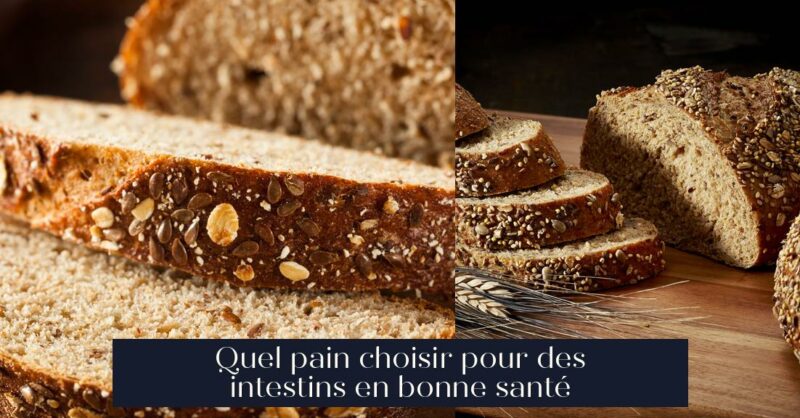 Quel pain choisir pour des intestins en bonne santé