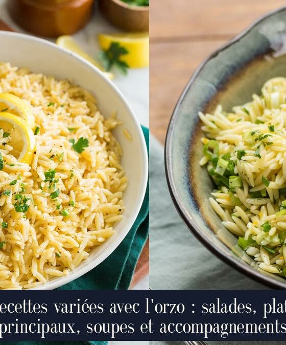 Recettes variées avec l'orzo : salades, plats principaux, soupes et accompagnements