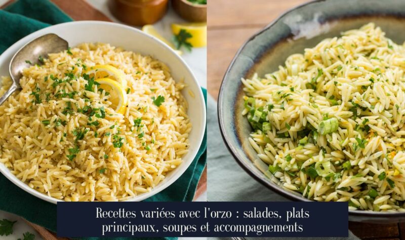 Recettes variées avec l'orzo : salades, plats principaux, soupes et accompagnements