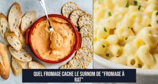Quel fromage cache le surnom de "fromage à rat"