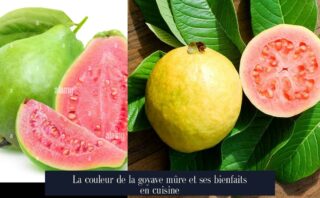 La couleur de la goyave mûre et ses bienfaits en cuisine
