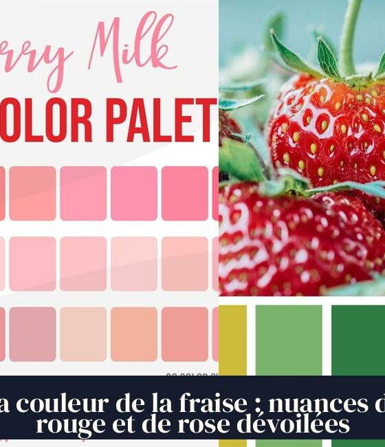 La couleur de la fraise : nuances de rouge et de rose dévoilées