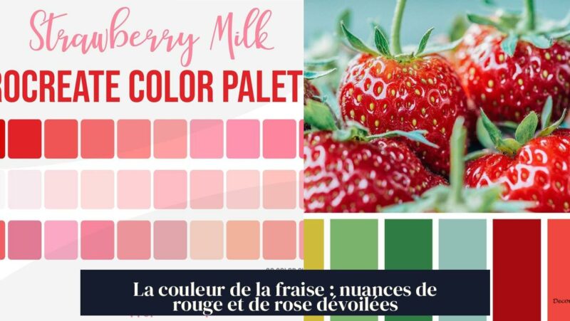 La couleur de la fraise : nuances de rouge et de rose dévoilées