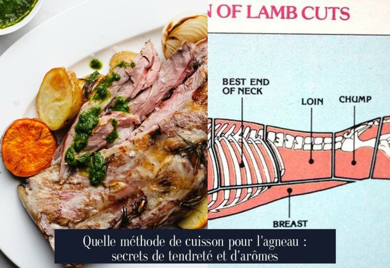 Quelle méthode de cuisson pour l'agneau : secrets de tendreté et d'arômes
