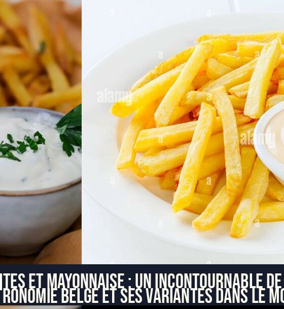 Frites et mayonnaise : un incontournable de la gastronomie belge et ses variantes dans le monde