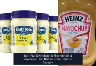 Quel Pays Revendique la Maternité de la Mayonnaise Une Histoire Entre France et Espagne