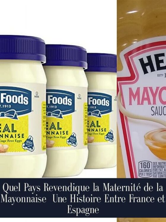 Quel Pays Revendique la Maternité de la Mayonnaise Une Histoire Entre France et Espagne