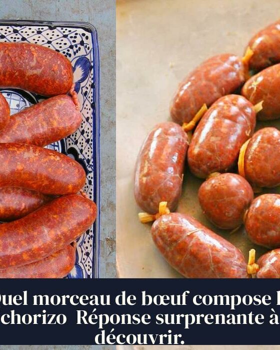 Quel morceau de bœuf compose le chorizo Réponse surprenante à découvrir.