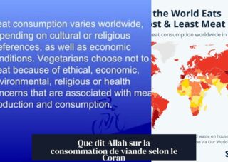 Que dit Allah sur la consommation de viande selon le Coran