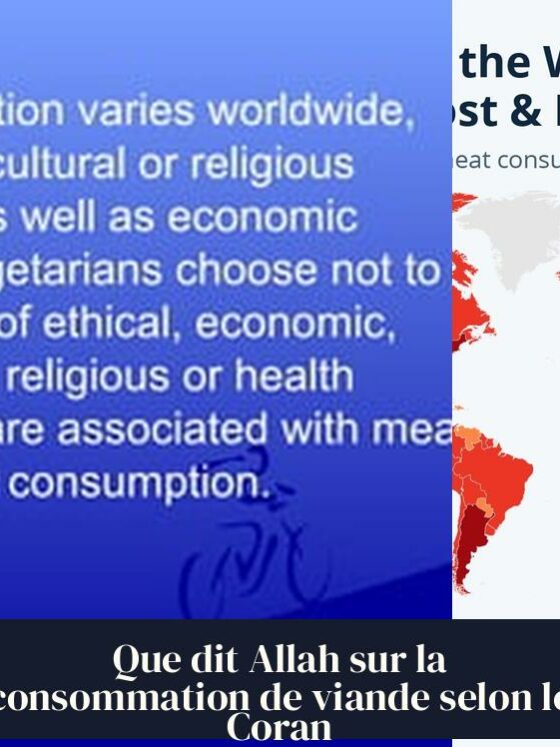 Que dit Allah sur la consommation de viande selon le Coran