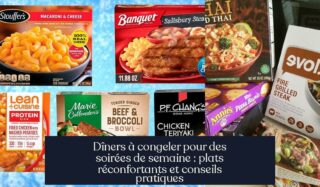 Dîners à congeler pour des soirées de semaine : plats réconfortants et conseils pratiques