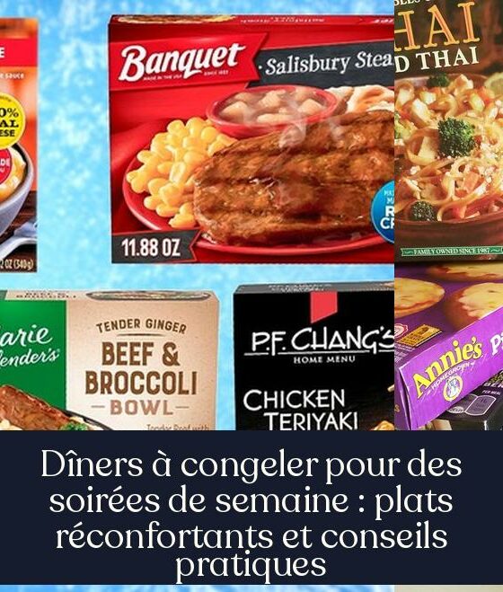 Dîners à congeler pour des soirées de semaine : plats réconfortants et conseils pratiques