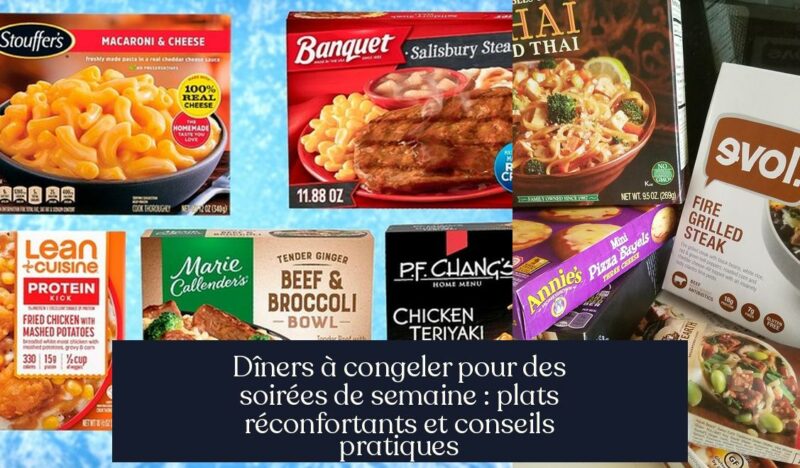 Dîners à congeler pour des soirées de semaine : plats réconfortants et conseils pratiques