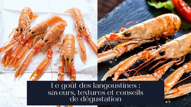 Le goût des langoustines : saveurs, textures et conseils de dégustation