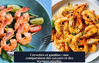 Crevettes et gambas : une comparaison des saveurs et des textures révélée.