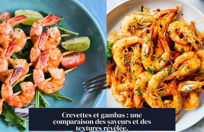 Crevettes et gambas : une comparaison des saveurs et des textures révélée.