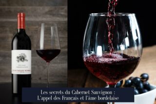 Les secrets du Cabernet Sauvignon : L'appel des Français et l'âme bordelaise