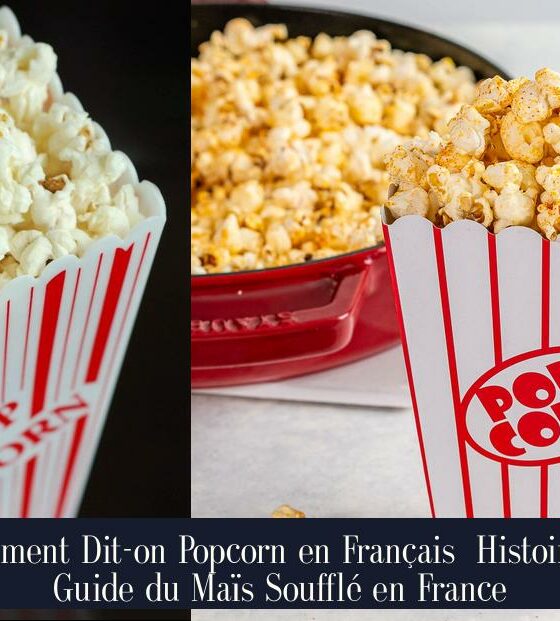 Comment Dit-on Popcorn en Français Histoire et Guide du Maïs Soufflé en France