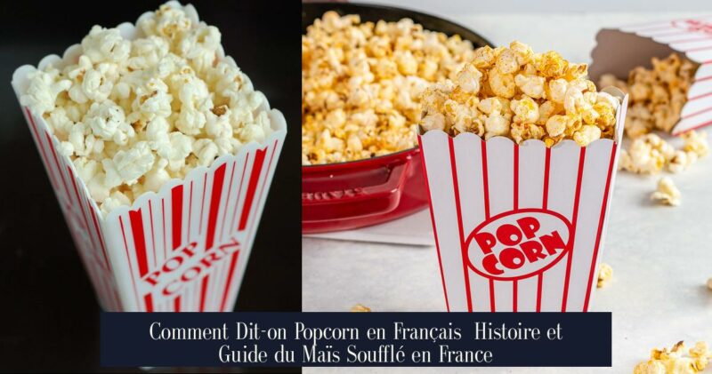 Comment Dit-on Popcorn en Français Histoire et Guide du Maïs Soufflé en France