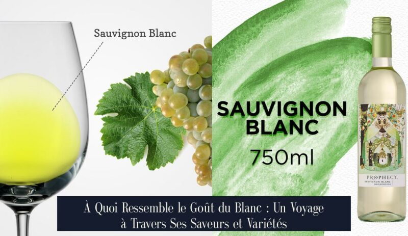 À Quoi Ressemble le Goût du Blanc : Un Voyage à Travers Ses Saveurs et Variétés