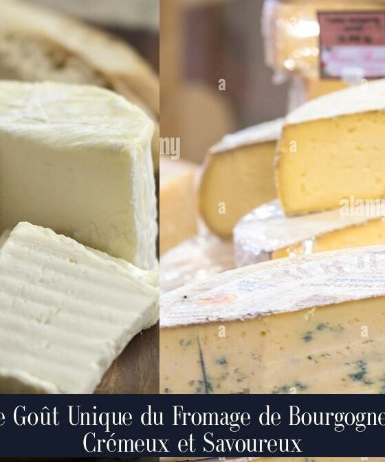 Le Goût Unique du Fromage de Bourgogne : Crémeux et Savoureux