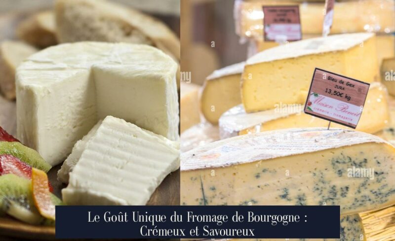 Le Goût Unique du Fromage de Bourgogne : Crémeux et Savoureux