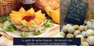 Le goût du melon français : découverte des saveurs et variétés incontournables