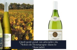 Quel goût peut-on attendre du Melon de Bourgogne dans le Muscadet
