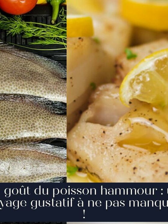 Le goût du poisson hammour : un voyage gustatif à ne pas manquer !