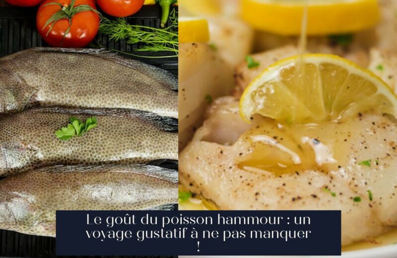 Le goût du poisson hammour : un voyage gustatif à ne pas manquer !