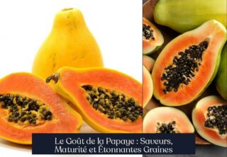 Le Goût de la Papaye : Saveurs, Maturité et Étonnantes Graines