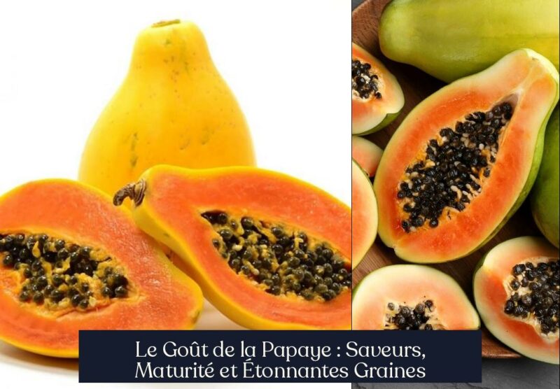 Le Goût de la Papaye : Saveurs, Maturité et Étonnantes Graines