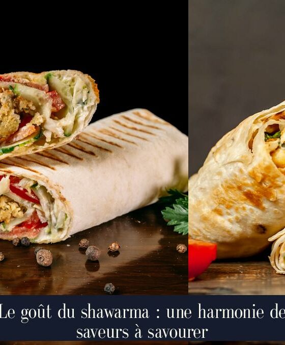 Le goût du shawarma : une harmonie de saveurs à savourer