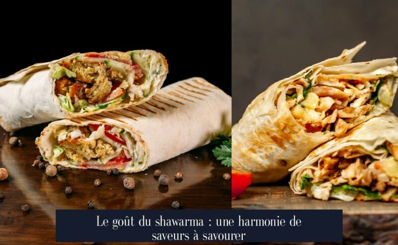 Le goût du shawarma : une harmonie de saveurs à savourer