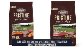 Quel goût a le castor Mystères et recettes autour de cette viande surprenante.